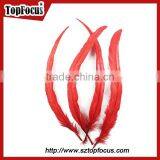 Dyed Color Big Long Natural Grizzly Rooster Feathers for Sale thumbnail-5