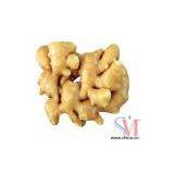 Sell Fresh Ginger thumbnail-1