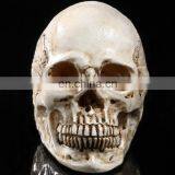 Artificial resin crafts skull heads wholesale home and holiday decoration