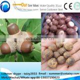 Acorn Shelling Machine/oak Seed Shelling Machine/oak Seed Huller thumbnail-6
