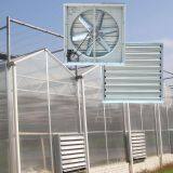 Wall Mount Industrial Exhaust Fan With Shutter Ventilation Greenhouse Fan