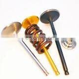 For VWJetta Audi A4 B5 8D Quattro B6 8E GTI TT 8N MK1 1.8T 20V 2.7T 30V 2.0T 16v Engine Valve Black Nitrided Motorsport Parts thumbnail-3