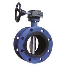 Mstnland WORM GEAR FLANGED CONCENTRIC BUTTERFLY VALVE