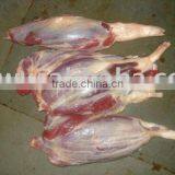 Halal Buffalo Shin Shank, Frozen Beef Shin Shank thumbnail-1