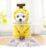 Latest Fashionable Apparel Winter Cute Custom Supplier Luxury Designer Dogs Pet Clothes thumbnail-3