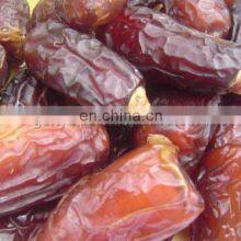 Manufacturer for Date Making Machine thumbnail-3