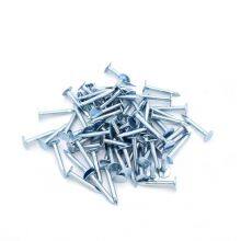 Galvanized Clout Nails With Large Flat Head for Secure Roofing Felt Installation thumbnail-4