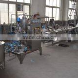 300kg Milk Candy Depositing Line