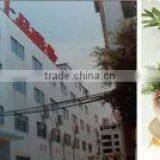 DG Shangpin Magnetic Electronics Co., Ltd. company overview - view 1 thumbnail