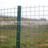 Plastic Coated Mesh for Fence Dutch Welded Wire Mesh