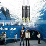 Foshan Silicone Sealant Factory/TVS Glazing Silicone Sealant/High Quality thumbnail-4