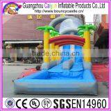 Outdoor Game Long Inflatable Water Slide For Sales thumbnail-2