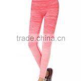 Wholesale Price Women Tights Fitness Body Slim Custom Running And Gym Girls Fashion Hot Tights thumbnail-3