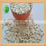 Online Shopping India Pumpkin Seeds/shine Skin Pumpkin Seeds thumbnail-3