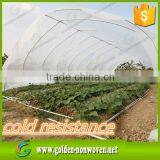 3%UV Treatment Non Woven Fabrics Last 2 Year, Plant Cover 35m pp Nonwoven Roll thumbnail-4