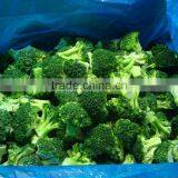 Broccoli and Iqf Broccoli Frozen Vegetables