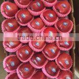 Huaniu Apples thumbnail-2