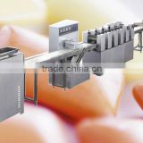 xylitol chewing gum production line