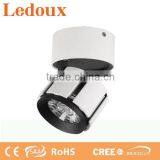 Adjustable 9w/15w/23w/31w Waterproof Ceiling Mount Led Light