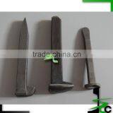 AREMA Track Cut Spike/railway Dog Spikes