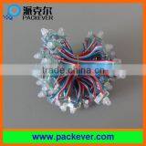 12mm 5V/12V Full Color Square Shape Ws2801 LED Pixel Strand thumbnail-2