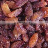 All Types of Raisins Green Raisin Red Raisin Golden Raisin thumbnail-1