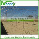 Multispan Tunnel Greenhouse for Flower thumbnail-3