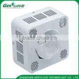 hydroponic plants growing lights 200w cob led for greenhouse