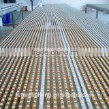 LED Strip 12V 5050 36/m IP65 Waterproof Warm White LED Flexible Strip thumbnail-5