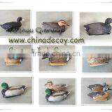 Wholesale PE Plastic Duck Decoy