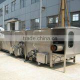 Continuous Pasteurization Tunnel