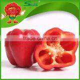 Not Hot Red Pepper Round Sweet Pepper thumbnail-5