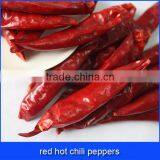 Red Hot Chili Peppers