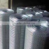 Galvanized Welded Wire Mesh