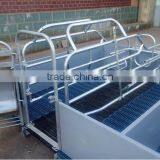 Pig Farming Equipments/sows Obstetric Table thumbnail-5