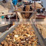 Belt Conveyor thumbnail-4