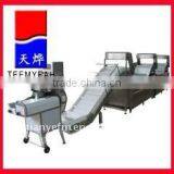 TW-306NS Continuously Vegetable Washing System thumbnail-1