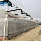 BaoLiDa Cheap Large Multi Span PE Polyethylene Greenhouse Galvanized Steel Tubes Structure Greenhouse thumbnail-2
