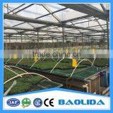 PE Mesh Covered Greenhouse thumbnail-3