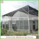 Best Selling Arched Type Multi-span Greenhouses for Garden thumbnail-1