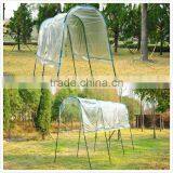 Economical Tunnel Greenhouse/plan Tomato Kits /plastic Greenhouse for Sale thumbnail-1
