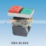 Double- Headed Flush Pushbutton Switch