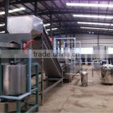 Automatic fryer line for nuts from Jinan chenyang company