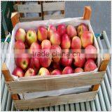 Natural Unfinished Lightweight Wooden Fruit Crates for Sale thumbnail-2