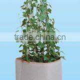 Non Woven Grow Bag for Plant,Indoor and Outdoor Planter Bags thumbnail-3