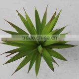 SJ300929 Artificial Plants Small Plant Aloe for Wall Decoration thumbnail-3