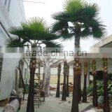 Home Garden Edging Decorative 5ft to 16ft Height Outdoor Artificial Green Plastic King Palm Leaf Products EDS06 0801 thumbnail-2