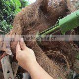 Plastic Artificial King Coconut Tree Green Large Coconut Tree thumbnail-4