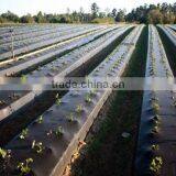 Polypropylene Plastic Agricultural Black PP Ground Cover thumbnail-5
