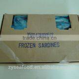 Canned Fish Frozen Sardine Fish thumbnail-2